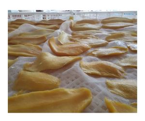 มะม่วงอบแห้งเนื้อนิ่มจากเวียดนามแผ่นมะม่วงอบแห้งแบบนิ่มจำนวนมาก - Product Image 1