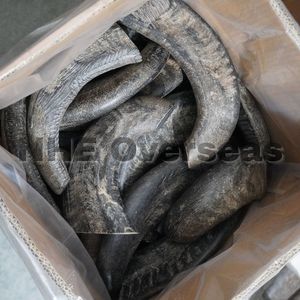 เขากวางควายธรรมชาติแบบพรีเมี่ยมสำหรับสุนัขที่แข็งแรงทนทานและปลอดภัยในการรักษาที่ยาวนานสำหรับลูกสุนัขที่มีสุขภาพดี - Product Image 4