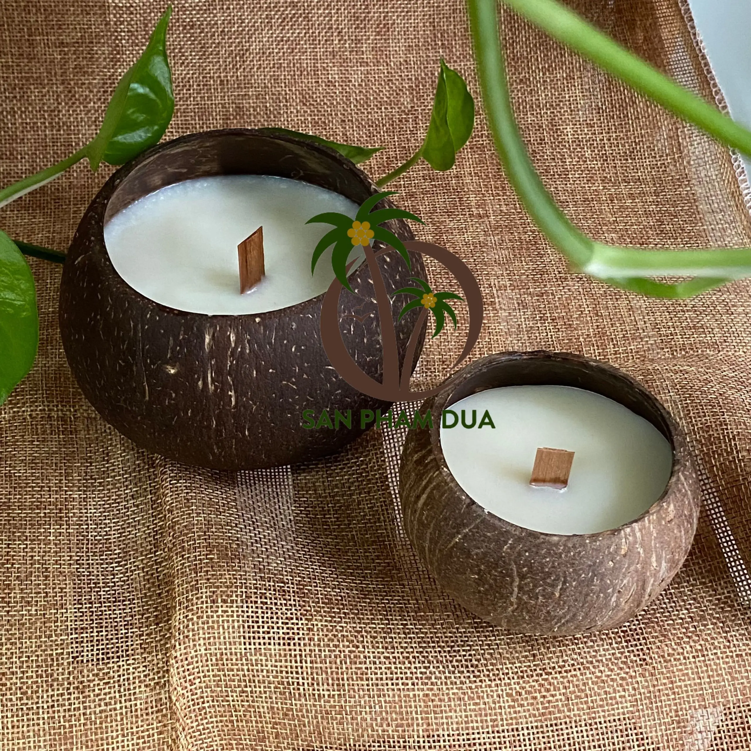 Velas perfumadas de casca de coco/ vela de cera de coco de soja ecológica/ tigela de coco vela artesanal caixa de presente