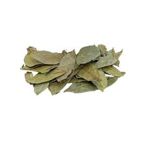 Directo desde la granja: hojas frescas de Guanábana - Product Image 1