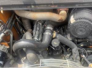 2017 Case TR270 Skid Steer Loader - Compact, économe en carburant et polyvalent - Product Image 3