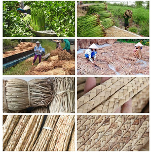 Tapis oriental en jacinthe d'eau fabriqué à la machine, rembourré extra épais pour chambre à coucher, patio, balcon, tons de terre naturels, doux sous les pieds - Product Image 5