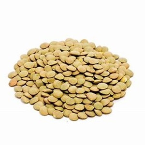 Lentilles vertes séchées abordables à prix de ferme en vente - Product Image 4