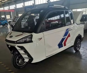 Moto électrique à trois roues avec marche arrière, 3 places, carrosserie fermée, 36V 200-250W, certifiée EEC/DOT/GCC, pour passagers - Product Image 1