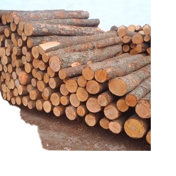 Wholesale Natural Acacia Wood Sawn Timber from Natural Oak timber boards dry or raw