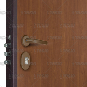 Meilleure porte en acier inoxydable insonorisée CL013 Finition okoumé Cerise Ouverture manuelle pantographe pour maisons silencieuses et sécurisées - Product Image 5