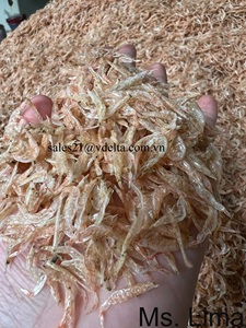 กุ้งแห้งเวียดนาม - กุ้งแห้งธรรมชาติจากแสงแดดสำหรับส่งออก - Product Image 6