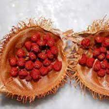 Anacardo, color - Product Image 2