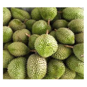 ผลไม้ทุเรียนสดและพืชใหม่ผลิตภัณฑ์ทุเรียนแช่แข็งจากเวียดนาม - Product Image 5