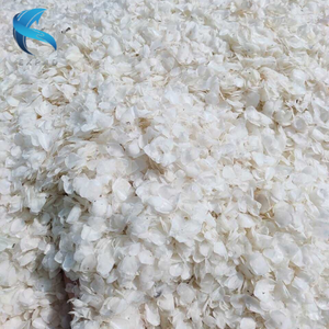 Báscula de pescado seco más vendida específicamente escamas de tilapia para la producción de colágeno de Vietnam - Product Image 4