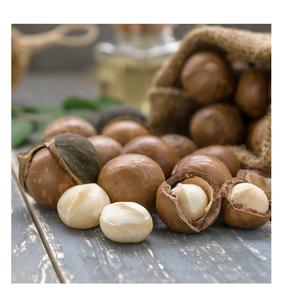 Noix de macadamia séchées de haute qualité Saveur laiteuse douce Squeeze à la main Délicieux Snack Fruits secs Approvisionnement en gros - Product Image 1