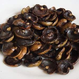 Cáscara de anacardo, un subproducto Agrícola Natural con múltiples aplicaciones - Product Image 1