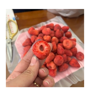 Fraises lyophilisées cueillies à la main, croquantes et sucrées, ajout agréable pour le chocolat, la salade, les collations de fête - Product Image 5