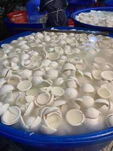 Meilleure vente 2025 tranche de viande de noix de coco congelée/morceau/entier/déchiqueté du Vietnam approvisionnement direct en usine - Product Image 4