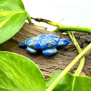 Lapis Lazuli <b>Turtle</b> Carving Gemstone 38 Mm Handmade Loose Bead - Product Image 2