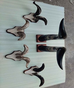 Cuerno original Home D Cor Artículo con cuernos reales Cuernos de búfalo tallados a mano Toro montado Pared única para el hogar Hecho EN LA India Base de madera - Product Image 2