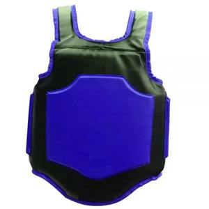 Protecteur de corps de boxe Mma, protecteur d'entraînement, karaté épais, sport, protection de poitrine - Product Image 2