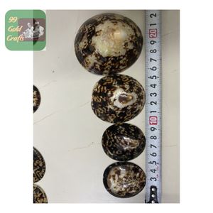 COQUILLES DE LÈVRE OVALES POLIES DE L'USINE DU VIETNAM POUR LA VENTE EN GROS, L'ARTISANAT ÉCOLOGIQUE ET DE BEAUX SOUVENIRS NATURELS - Product Image 5