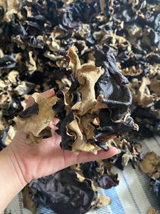 Hongo de oído de madera seco, artículo de suministro a granel con textura gruesa y superficie limpia para distribución al por mayor - ARTÍCULO MUY VENDIDO - Product Image 2