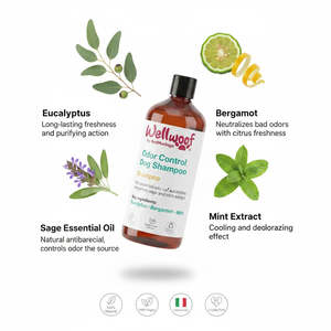 RedMoringa 200 mL Champú para Perros con Control de Olor, Plástico OEM PL Italia para el Cuidado y Baño de Mascotas - Product Image 3