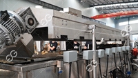 Kleine Verse Productie Plant Banaan Chips Verwerking Maken Line Productie Machine Weegbree Chips