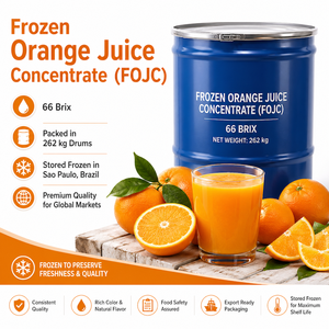 น้ำส้มเข้มข้นแช่แข็ง WELL ALIMENTS 66 บริกซ์ จากเซาเปาโล แท้ 100% อายุการเก็บรักษา 24 เดือน - Product Image 1