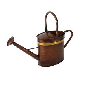 Arrosoir en métal en fer Fabricant d'arrosoir de plantes vertes de conception personnalisée Fournisseur de fabrication en gros - Product Image 4