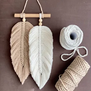 Scandinavian Decor Macrame Leaf Wall Hanging Decor Arts and Crafts Colorful coir rope Macrame
