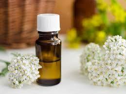 Yarrow น้ำมันหอมระเหยน้ำมันหอมระเหยธรรมชาติบริสุทธิ์100% เกรดใช้เครื่องสำอาง - Product Image 3
