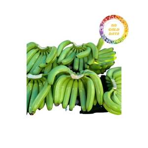 Plátano Cavendish Premium de Vietnam, Fresco y Maduro, con Suministro Constante y Precios Competitivos para Compradores que Buscan Calidad Consistente - Product Image 3