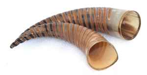 Corne de Viking Corne de boeuf Artisanat poli pour la décoration de Noël à la main - Product Image 2