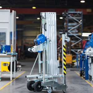 Elevador de montaje ALP LM S4, 300 kg - Product Image 2