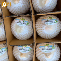Polpa de Coco Tailandesa Entera, Dulce y Jugosa, Grado A, 1.2 kg, Perfectamente Madura para Bebidas Refrescantes o Platos Gourmet
