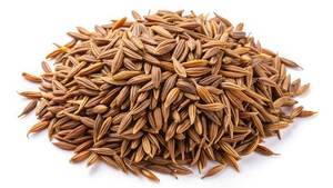 Semillas de comino secas enteras de alta demanda, rico aroma, especias fuertes, contenido 100%, especias indias esenciales naturales, Masala tradicional - Product Image 6