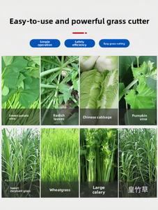 Picadora Eléctrica de 2200W para Alimento Animal, Trituradora de Col, Batata, Enredaderas, Forraje, Hierba, Cortadora de Paja - Product Image 4