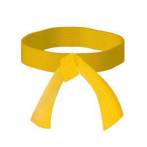 Cinturones de Karate bordados hechos a medida a la venta cinturones de artes marciales de buena venta con Material de alta calidad CINTURÓN DE Karate personalizado - Product Image 1