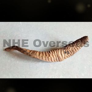 Friandise à mâcher naturelle en corne de chèvre par NHE Overseas Soins dentaires sains et durables à mâcher pour chiots Adultes Chiens âgés - Product Image 4