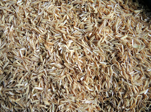 Polvo Crudo de Cáscara de Arroz, Aditivo para Alimentación Animal, Cultivo, Jardinería, Horticultura, Color Amarillo Natural, 2 Años de Vida Útil, Bolsa de 50 kg - Product Image 4