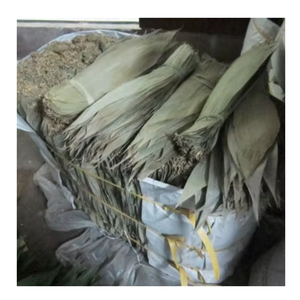Hoja de bambú seca natural de Vietnam cuidadosamente procesada para garantizar un suministro estable de hojas de bambú secas para clientes internacionales - Product Image 5