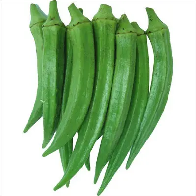 Taze bamya sebze taze Ladyfinger sebze fiyat yeşil stil ağırlık doğal kökenli tipi boyut renk yer Model müşteri
