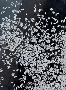 Muestra gratis Premium-Calidad de grano largo Basmati Jasmine Rice Riz Vietnam Fragante Perfume Alimentos secos a buen precio ANNA DO - Product Image 3