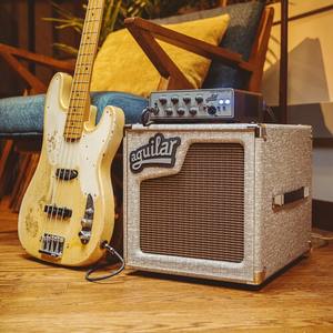 Enceinte basse compacte Aguilar SL 110 1x10 pouces (Fawn) - Product Image 2