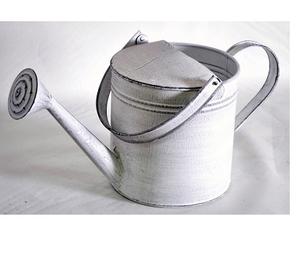 Couleur fleur florale eau peut qualité supérieure vente en gros luxe peut meilleure vente peu coûteux galvanisé eau - Product Image 6