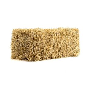 Fardos de heno de alfalfa de buena calidad grado alimenticio para perros y pollos precio bajo muy razonable mejor venta - Product Image 2