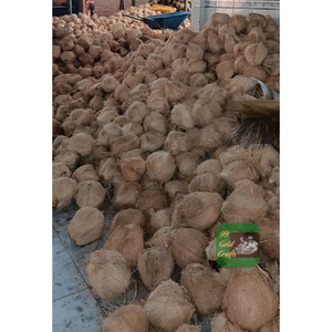 เปลือกมะพร้าวตากแห้งธรรมชาติแบบ100% ถ่านสำหรับงานศิลปะเชิงนิเวศและวัสดุทางอุตสาหกรรมส่งออกจำนวนมาก - Product Image 2