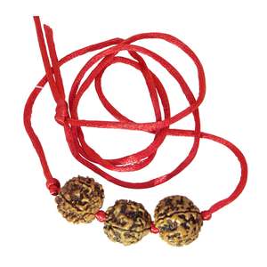 Arihant Gems Jewels - Perlas Naturales Certificadas Saraswati Bandh Marrones, 2 Perlas de 4 Mukhi/Faces, 1 Perla de 6 Mukhi/Faces, Forma de Bola de Rudraksha, Regalo - Product Image 3