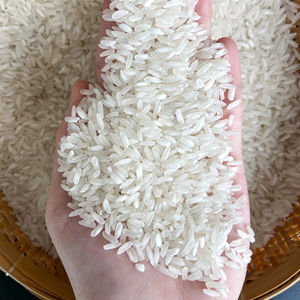 Riz blanc parfumé à grains longs du Vietnam, nouvelle récolte 2025, norme d'exportation - Vilaconic, durée de conservation de 2 ans, Whatsapp +84 94 808 2991 - Product Image 1