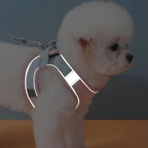 Correa para Perro Simple, Duradera, Ajustable, Reflectante, Acolchada y Lavable, con Cierre de Hebilla, de Poliéster/Nailon, Tamaño Pequeño, Hecha en Vietnam - Product Image 4