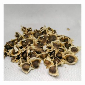 Semilla de mostaza/Polvo de semilla de Brassica Juncea/Polvo de mostaza amarilla - Product Image 3