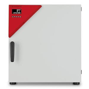 BINDER BF56 Forced Convection <b>Medical</b> <b>Incubator</b> 59L Capacity Ambient +7C 100C Temperature Range 40kg 560x565x625mm Dimensions - Product Image 1